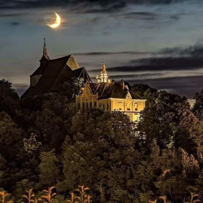 Pensiunea Lelila Inn Sighişoara Exterior foto