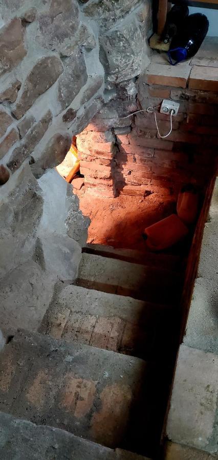Pensiunea Lelila Inn Sighişoara Exterior foto