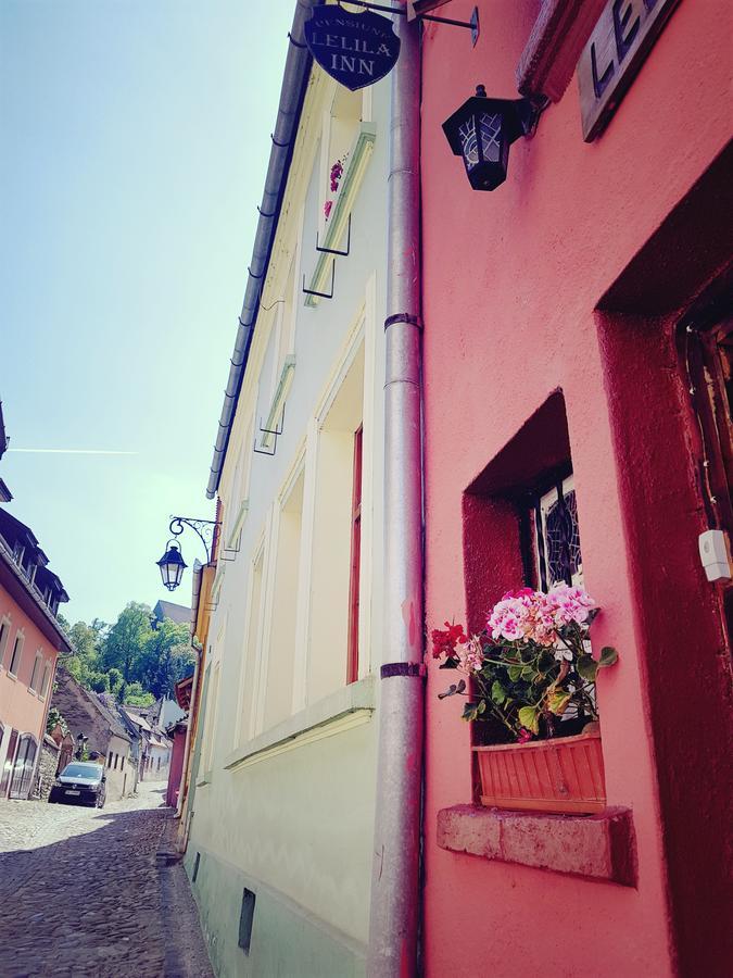 Pensiunea Lelila Inn Sighişoara Exterior foto