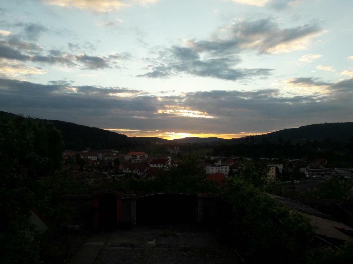 Pensiunea Lelila Inn Sighişoara Exterior foto